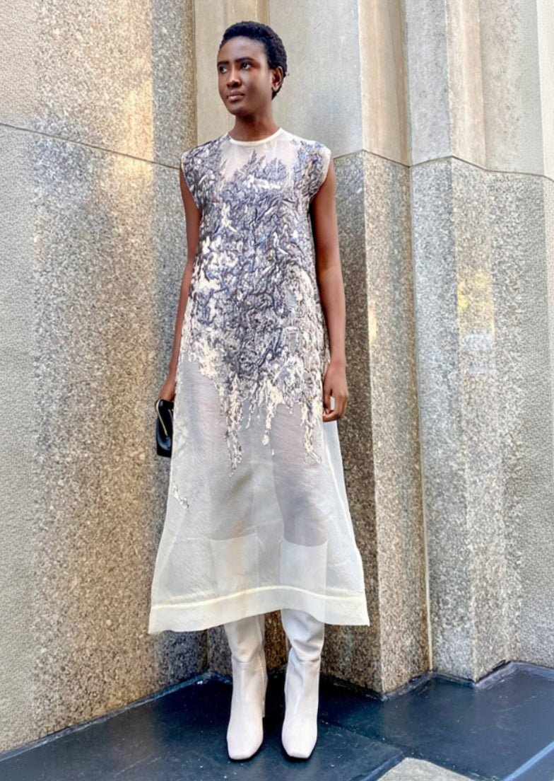 celine silver dress Celine Silver Glam Sleeveless Dress Joy of ShRu
